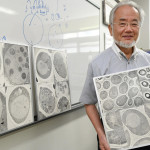 Yoshinori Ohsumi of Japan Wins Nobel Prize in Medicine - New York Times