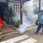 Thailand still golden for Chinese tourists despite Zika fears - Business Insider